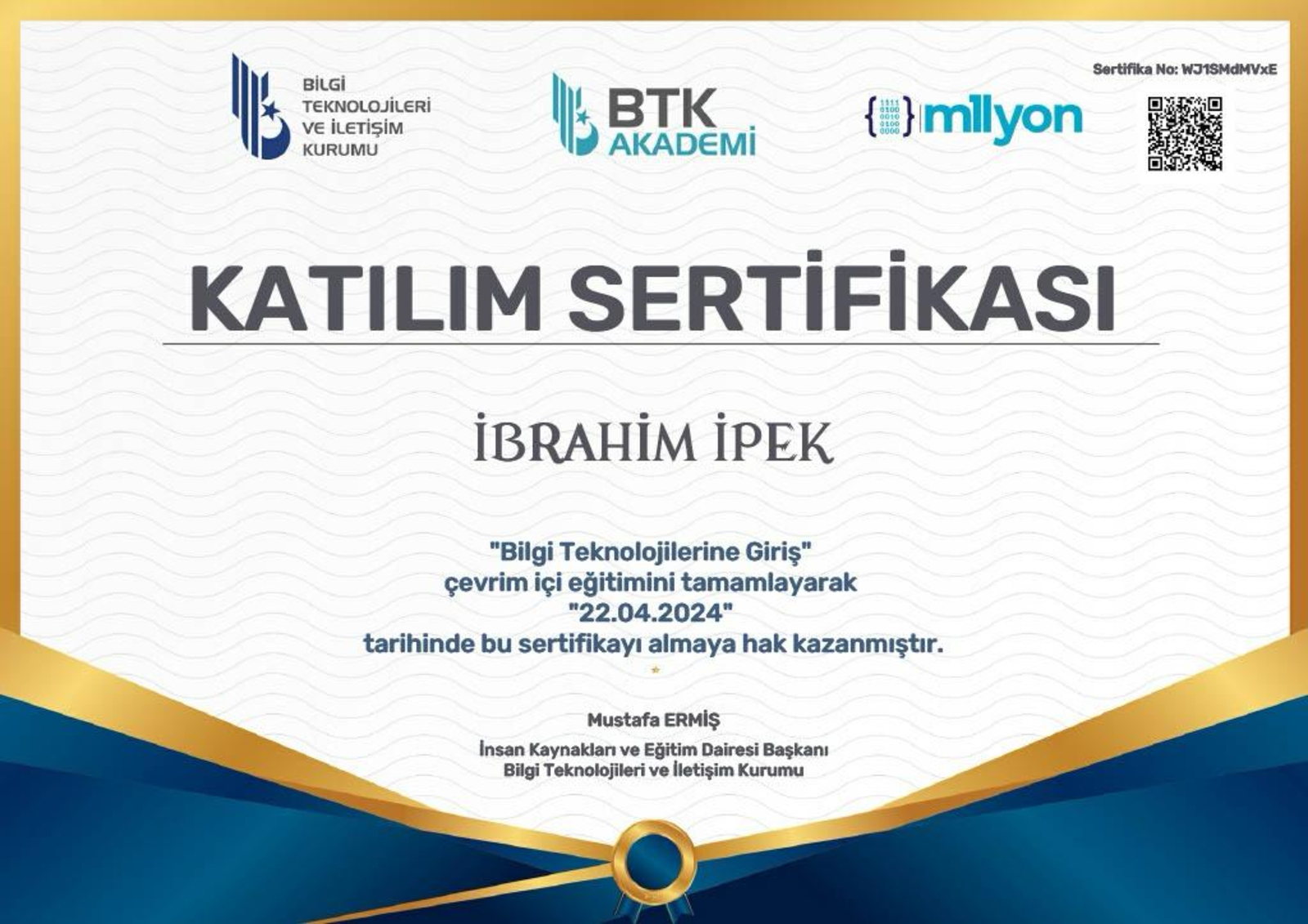BTK - Bilgi Teknolojilerine Giris Katilim Sertifikasi